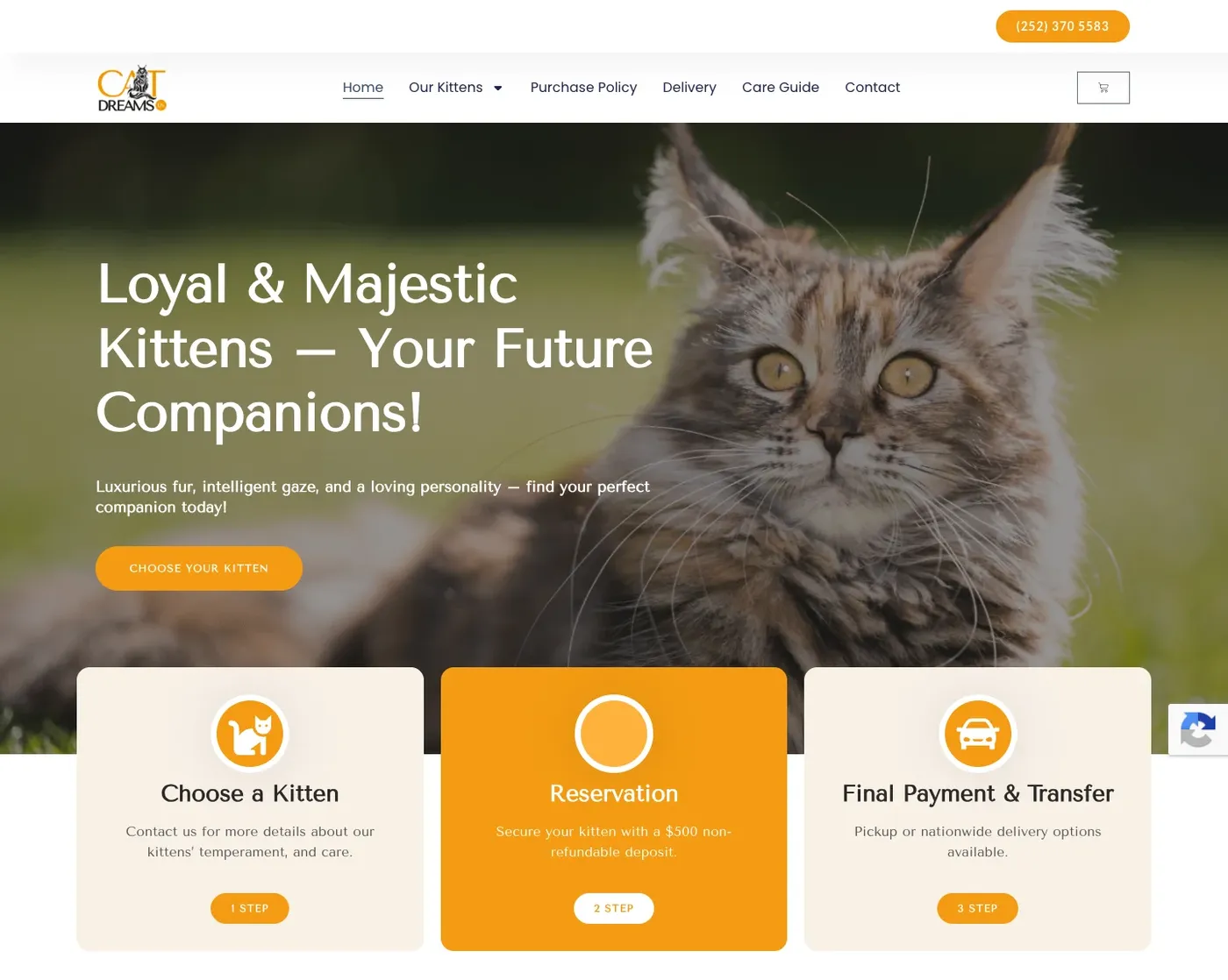 Cat Dreams US home page: hero with Maine Coon kitten and 3-step reservation cards