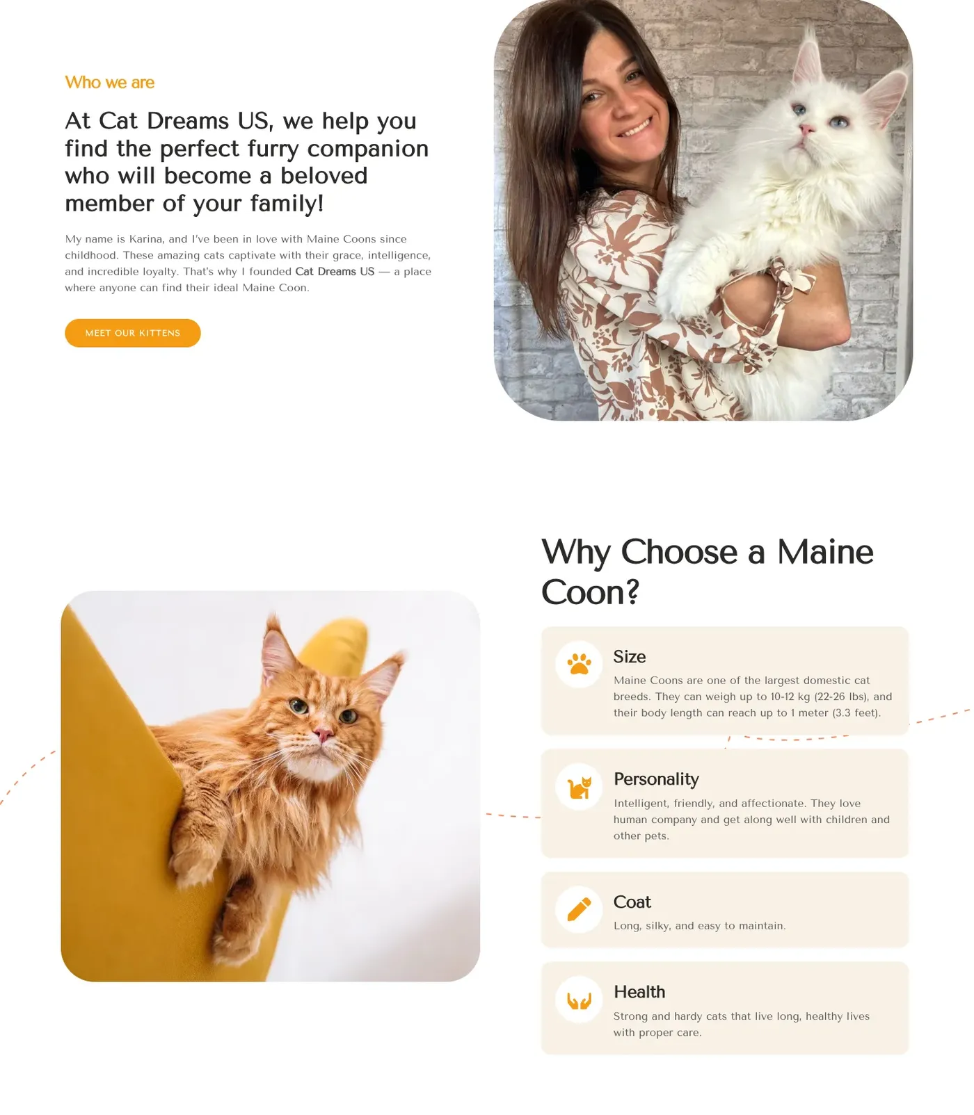 Cat Dreams US “Who we are” section with the breeder and “Why choose a Maine Coon” block