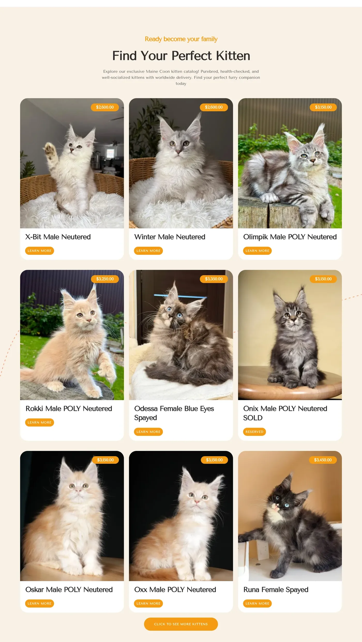 Cat Dreams US available kittens catalog with photo cards, names and prices