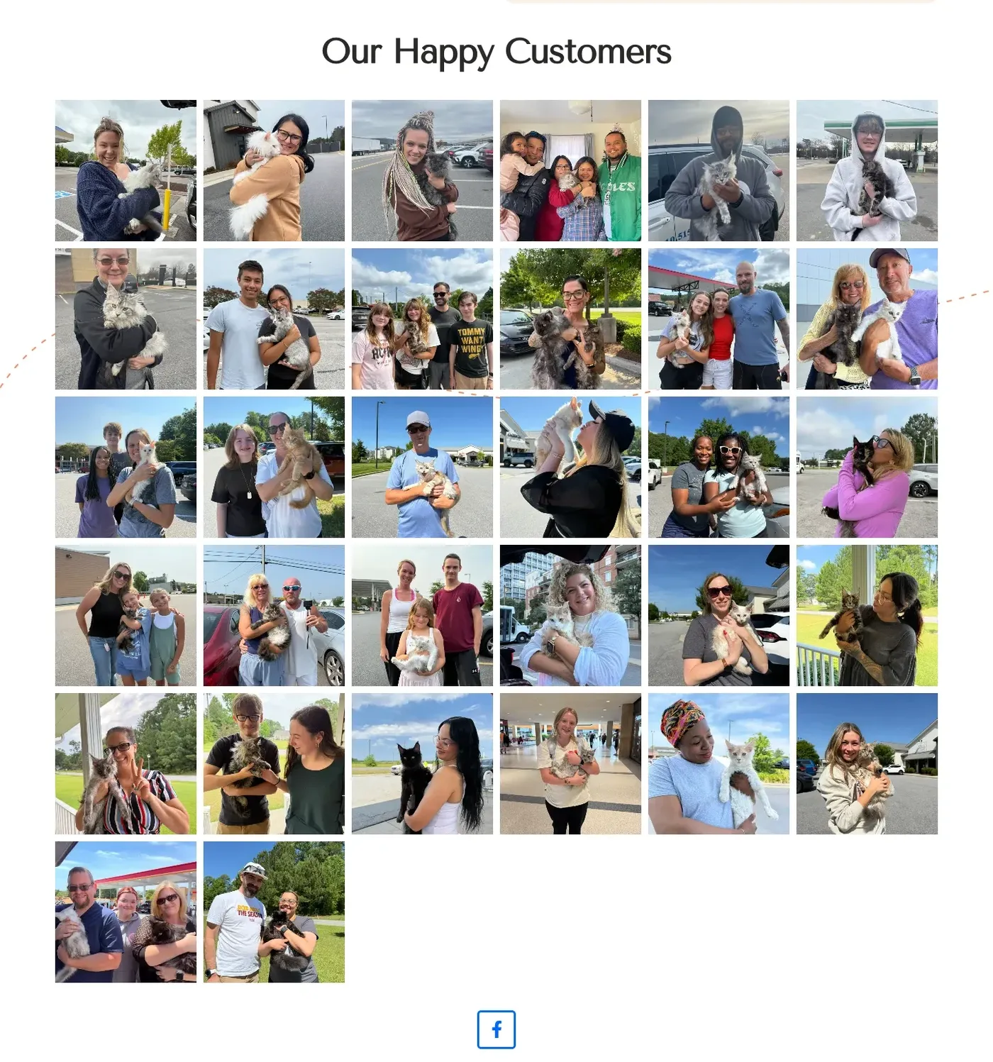 Cat Dreams US happy customers photo wall with families and their Maine Coons