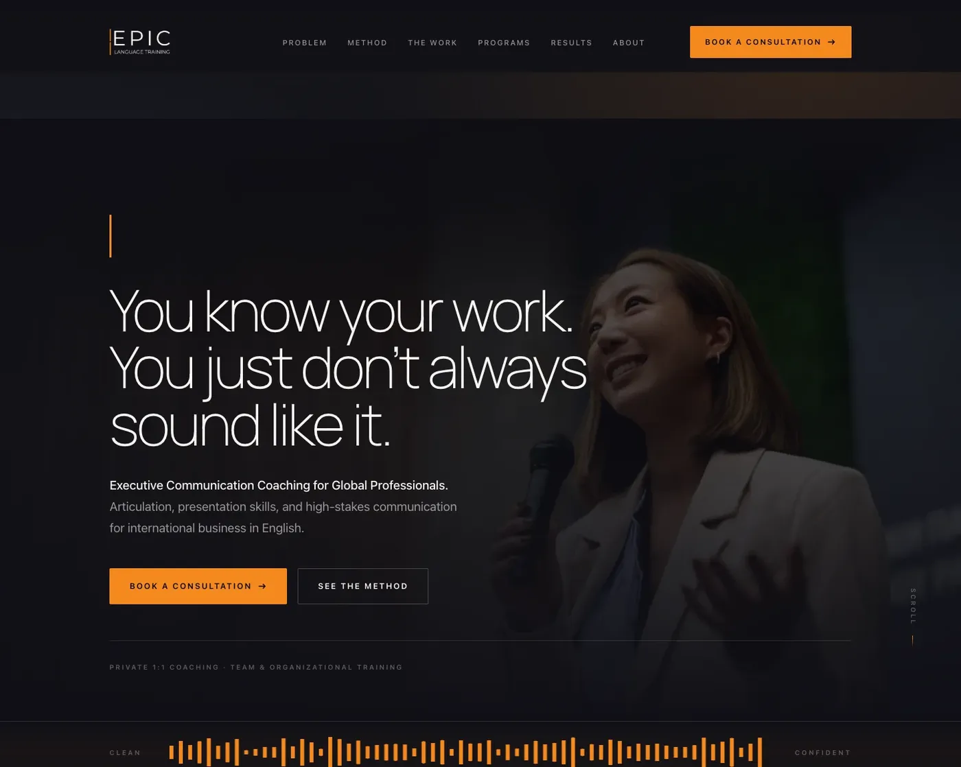 EPIC new hero with speaker and audio waveform