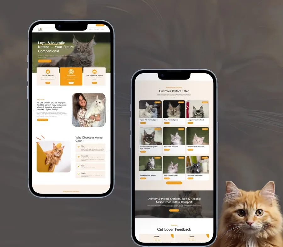 Maine Coon breeder website — Cat Dreams US
